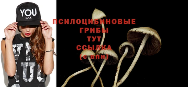амф Белокуриха