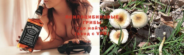 стафф Белоозёрский