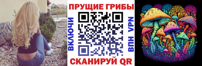 Галлюциногенные грибы Cubensis  продажа наркотиков  Светогорск 